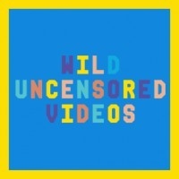 Wild Uncensored Videos